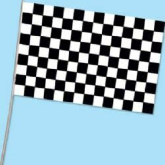 Checkered Flag Plas (28cm x 43