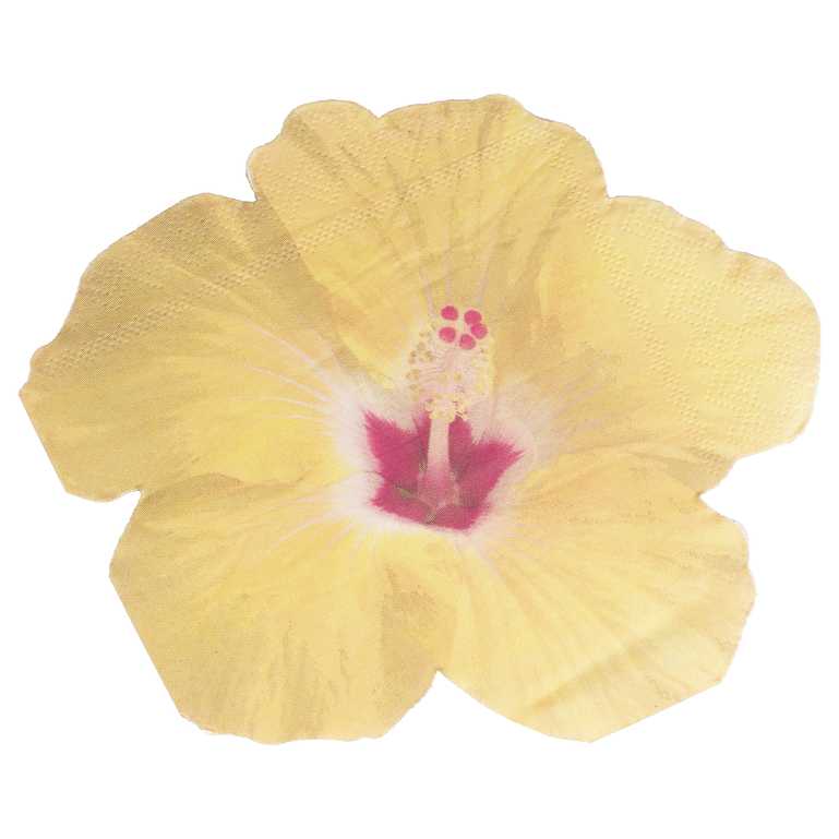 Tiki Tropics Hawaiian Tropical Flower Paper Napkins